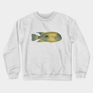 Nicaragua Cichlid Crewneck Sweatshirt